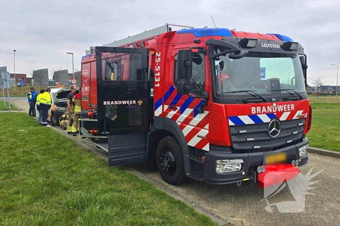 Onverwachte reddingsactie voor gewonde kat