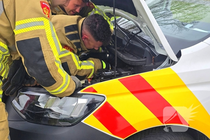 Onverwachte reddingsactie voor gewonde kat