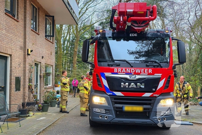 Kat Zorra eigenwijs en klimt verder in boom, brandweer in actie