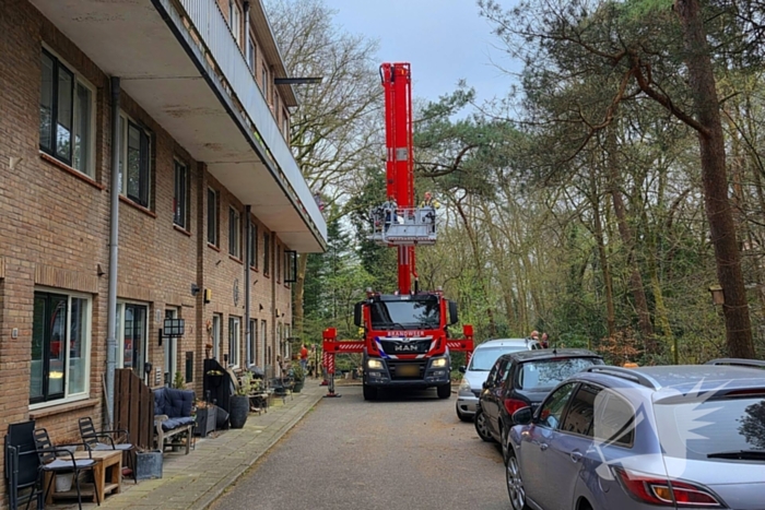 Kat Zorra eigenwijs en klimt verder in boom, brandweer in actie