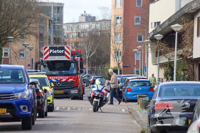 Waarschuwingsschoten gelost bij arrestatie