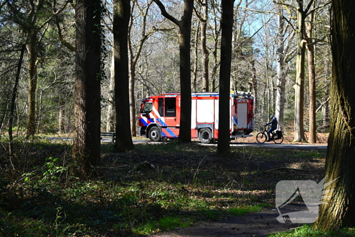 Flinke brand in natuurgebied