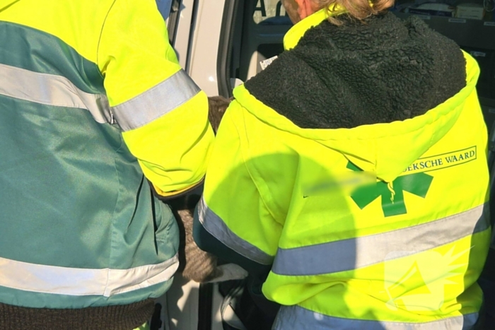 Brandweer bevrijdt kat uit motorkap