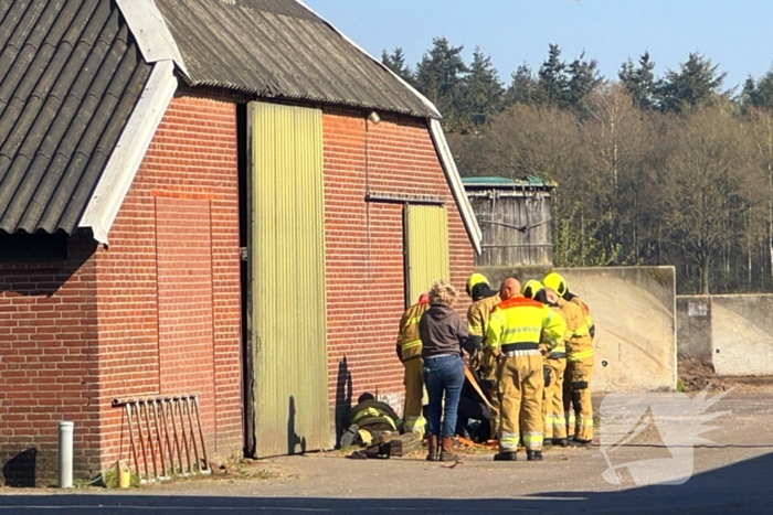 Brandweer ingezet voor dier in nood