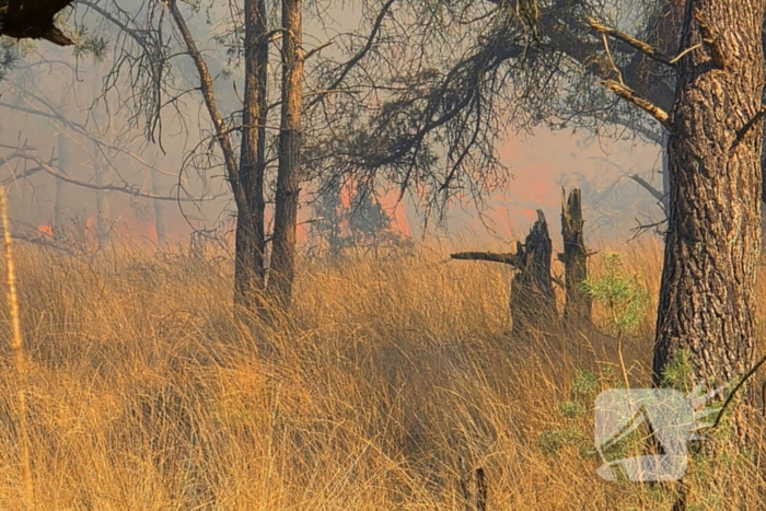 NL-alert voor brand in heidegebied