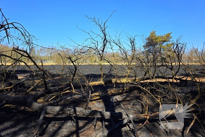 Day after; grote schade na enorme natuurbrand