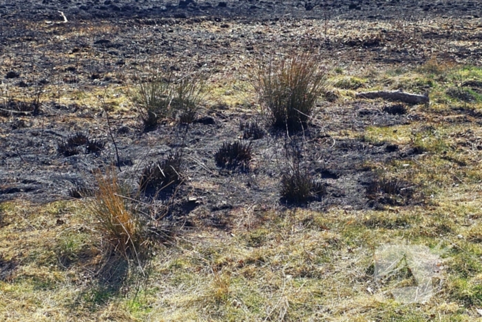 Day after; grote schade na enorme natuurbrand