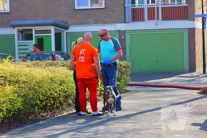 Flat ontruimd vanwege brand