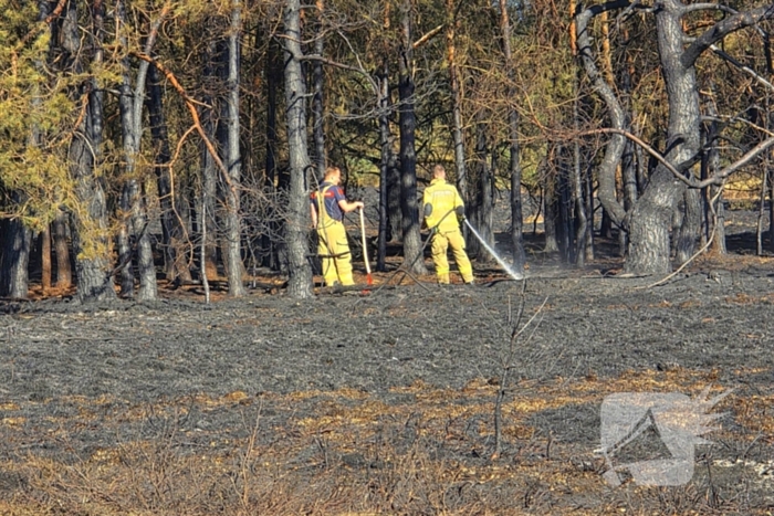 Brandweer blust smeulende resten in afgebrande heidegebied