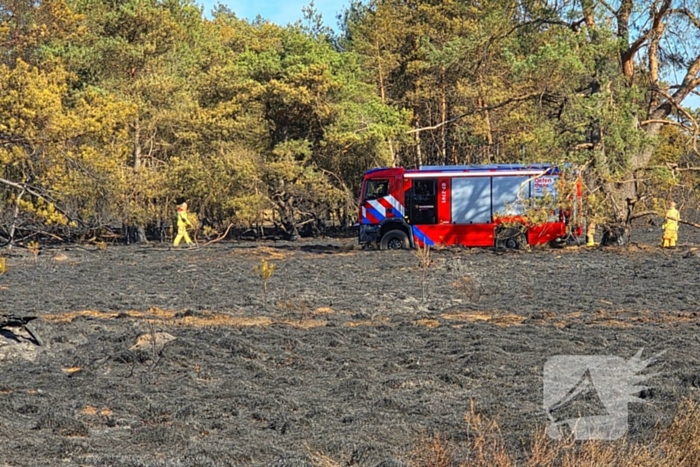 Brandweer blust smeulende resten in afgebrande heidegebied