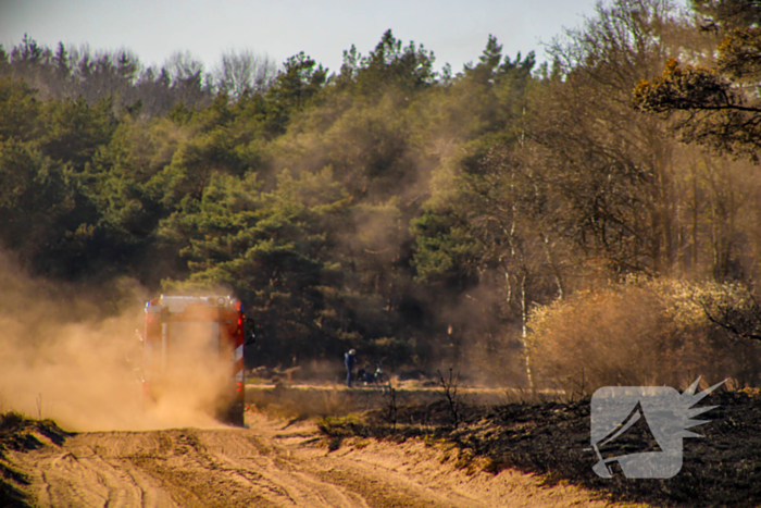 Brandweer blust smeulende resten in afgebrande heidegebied
