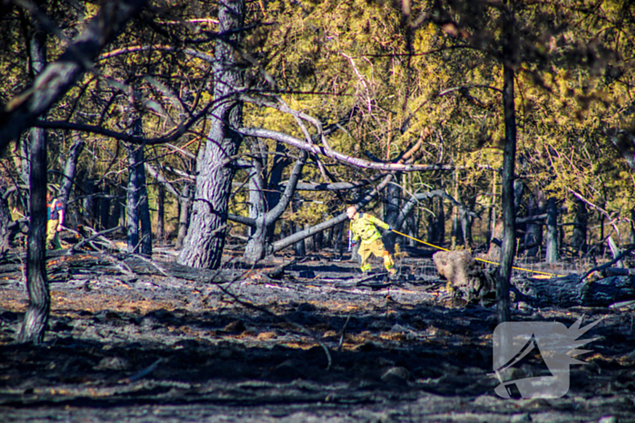 Brandweer blust smeulende resten in afgebrande heidegebied