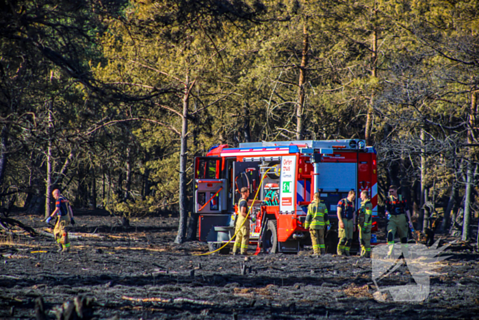 Brandweer blust smeulende resten in afgebrande heidegebied