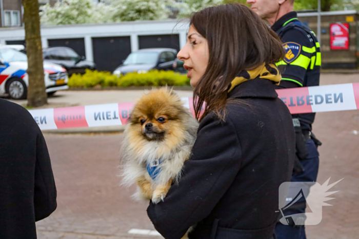 Woning zwart geblakerd na felle brand