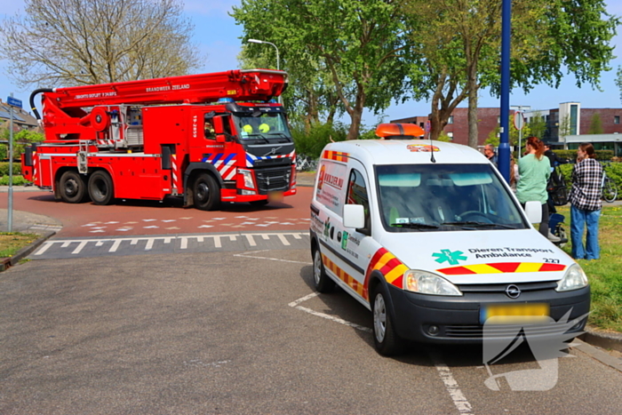 Brandweer ingezet voor kat in de boom