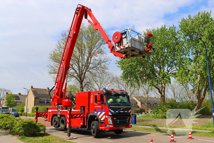 Brandweer ingezet voor kat in de boom