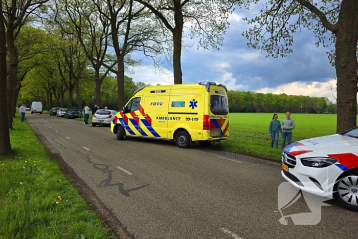 Automobilist knalt op boom