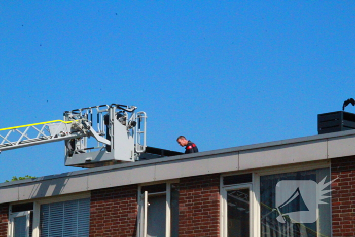 Brandweer redt kauw uit schoorsteen