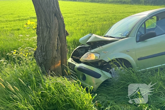 Bestuurder gewond bij botsing tegen boom
