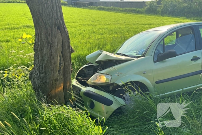 Bestuurder gewond bij botsing tegen boom