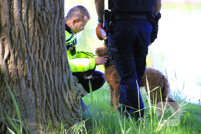 Hond en eigenaar vallen in water