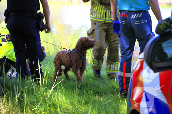 Hond en eigenaar vallen in water