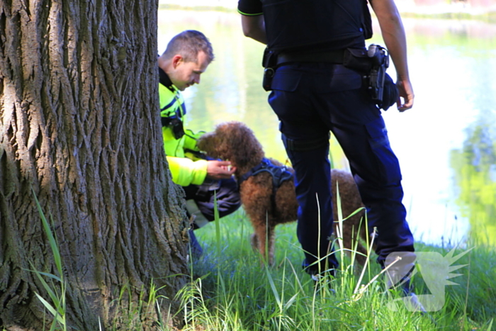Hond en eigenaar vallen in water