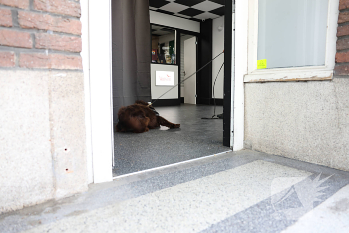 Illegale sigaretten, vapes en verboden medicatie aangetroffen tijdens controle