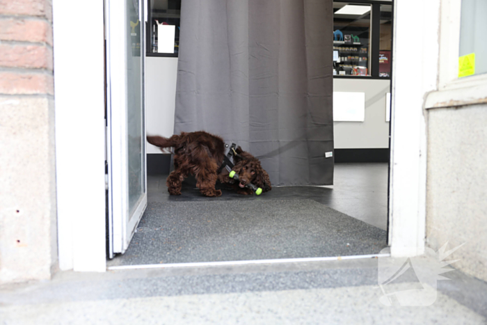 Illegale sigaretten, vapes en verboden medicatie aangetroffen tijdens controle