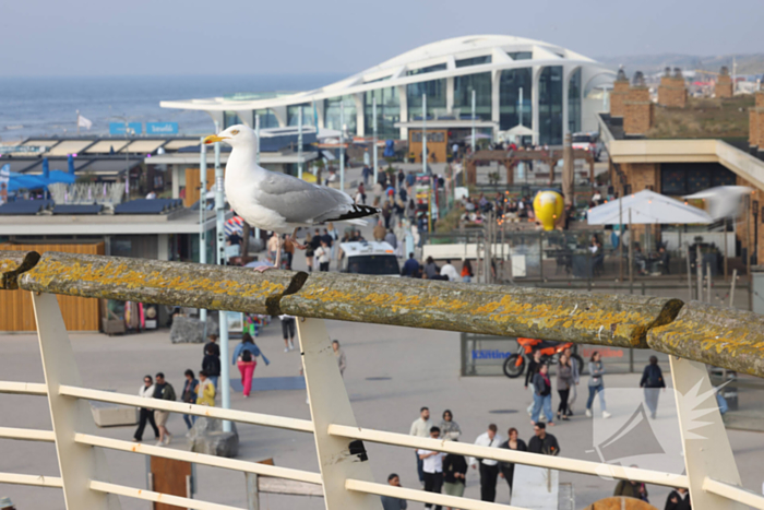 Politie preventief aanwezig na eerdere geweldsincidenten