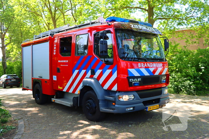 Takken vallen uit boom