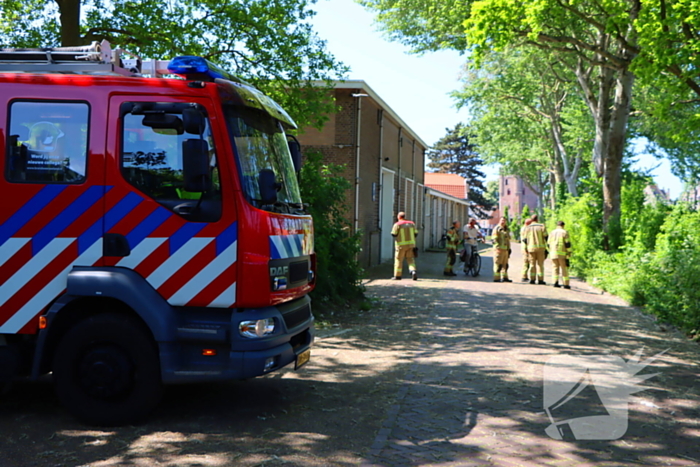 Takken vallen uit boom