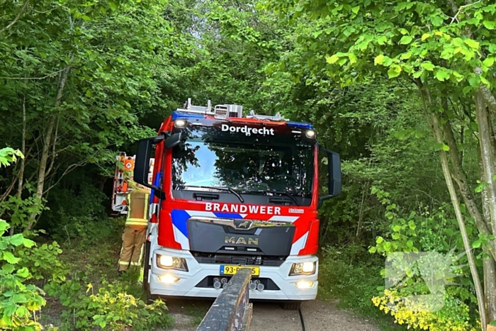 Grote brandweer inzet bij natuurbrand