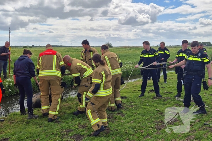 Brandweer en politie redden te water geraakte paard