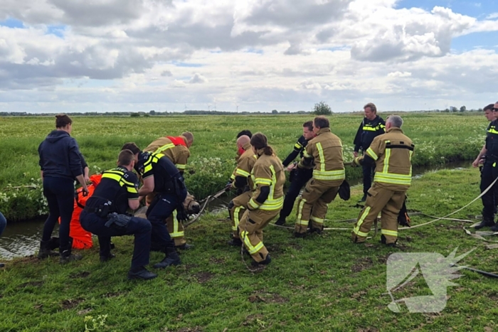 Brandweer en politie redden te water geraakte paard