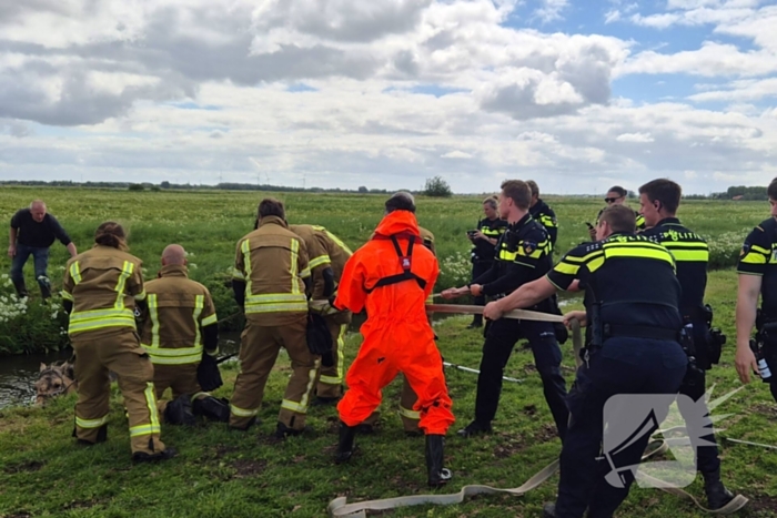 Brandweer en politie redden te water geraakte paard
