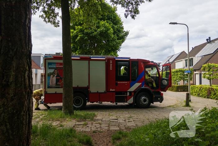 Brand in bosgebied Tilburg snel onder controle