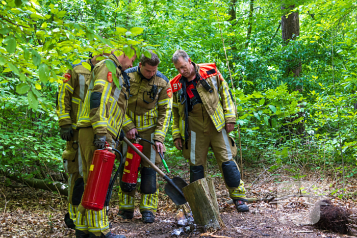 Brand in bosgebied Tilburg snel onder controle