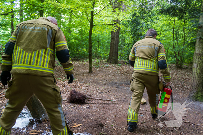 Brand in bosgebied Tilburg snel onder controle