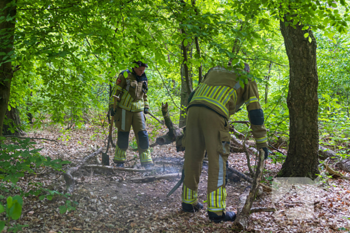 Brand in bosgebied Tilburg snel onder controle