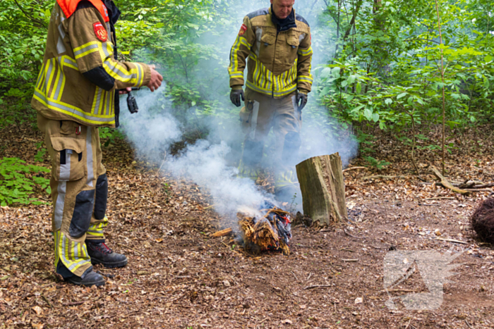 Brand in bosgebied Tilburg snel onder controle