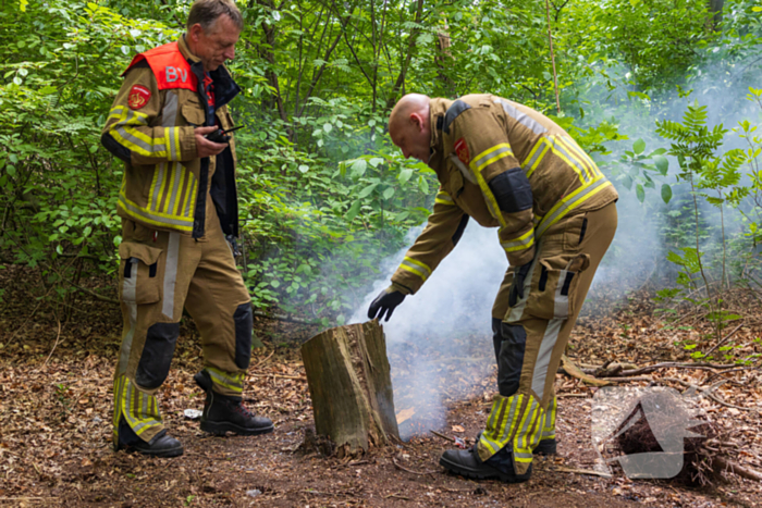 Brand in bosgebied Tilburg snel onder controle