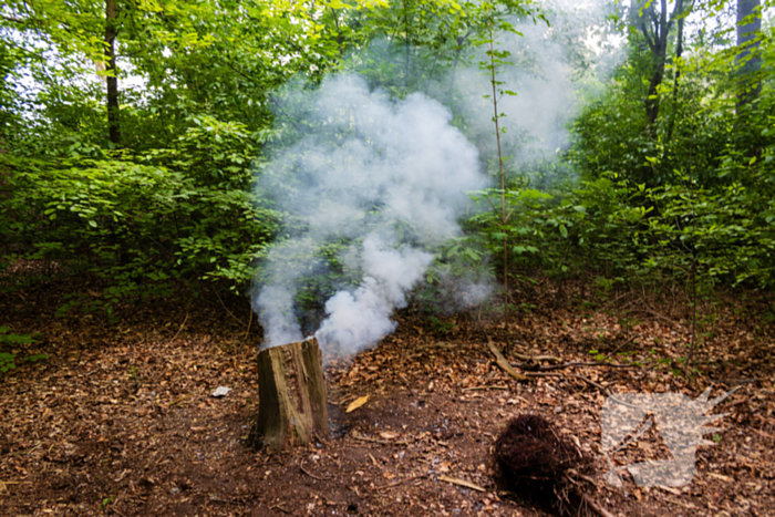 Brand in bosgebied Tilburg snel onder controle