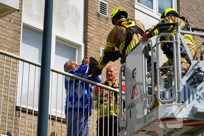 Brandweer haalt kat van nok van dak