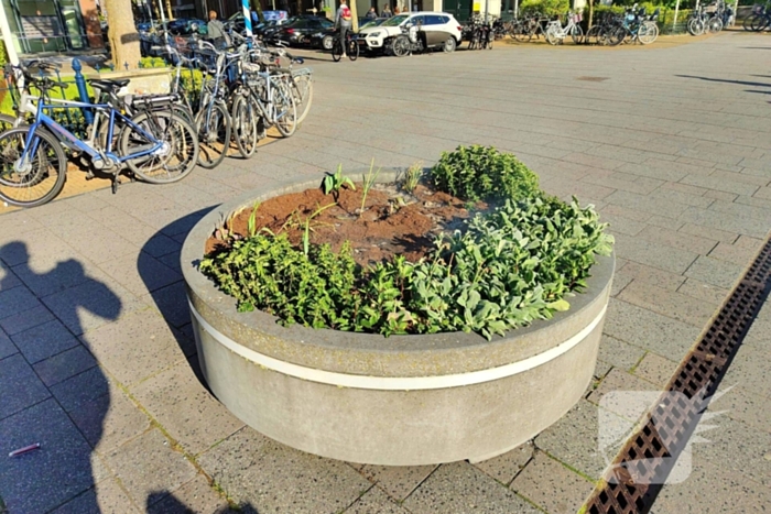 Brandweer ingezet vanwege smeulende bloembak