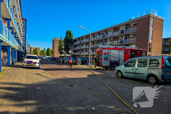 Brandweer blust brandende boom