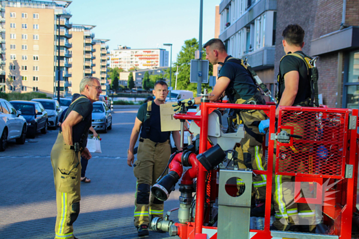 Duif gered van balkon