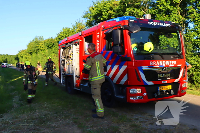 Bomen en pipowagen in brand