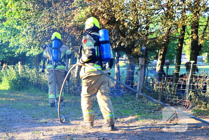 Bomen en pipowagen in brand