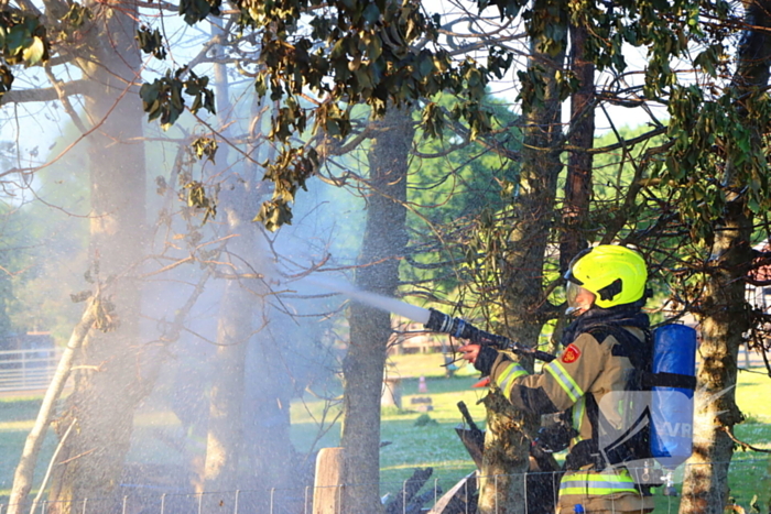 Bomen en pipowagen in brand